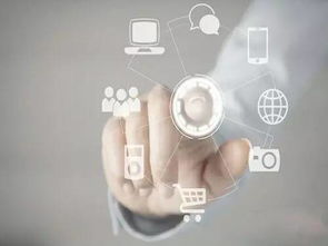 捐献互联网数据供科研的可行性与挑战